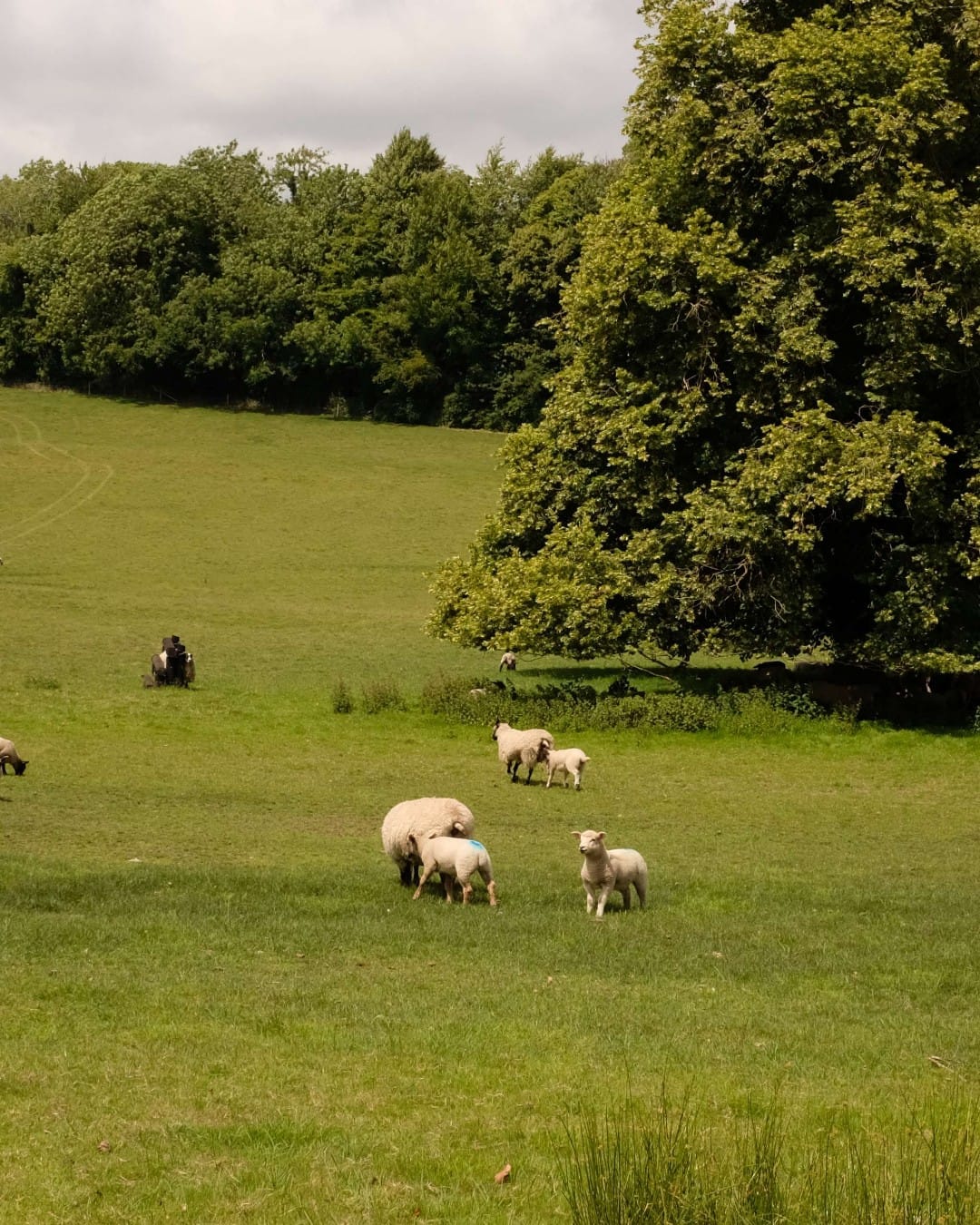 The Beckford Arms and the elegance of the countryside.