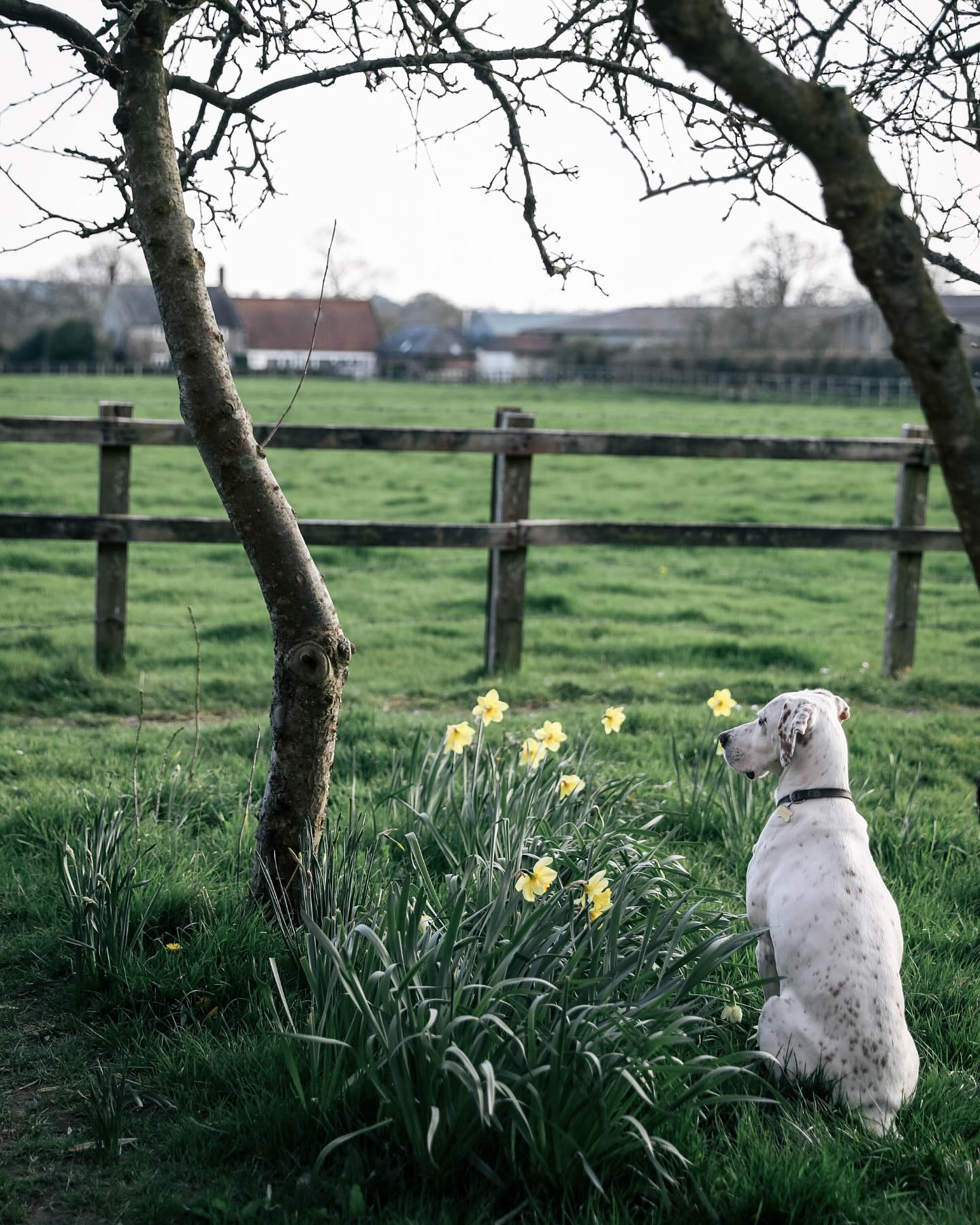When light meets the trails the encounter between Marte Marie and Sentier Italia