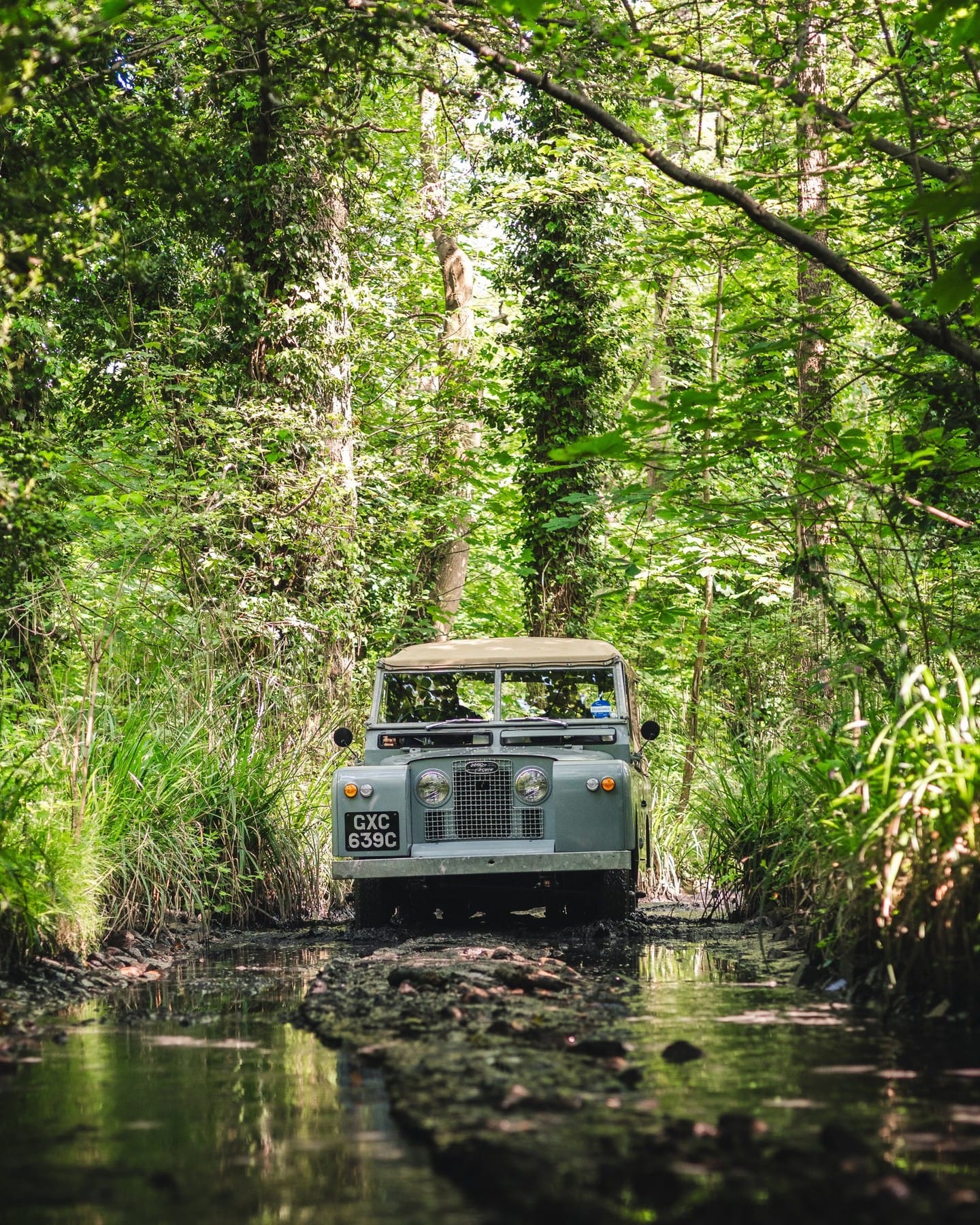 Land Rover and the elegance that smells of mud and afternoon tea.