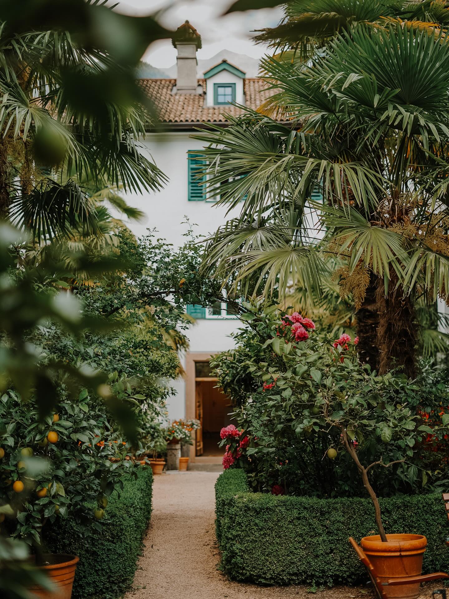 Ottmanngut, Merano’s secret retreat among palms, linden trees, and leisurely breakfasts